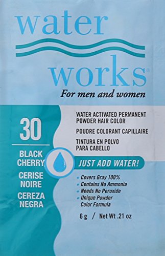 Water Works Water Activated Permanent Powder Hair Color
